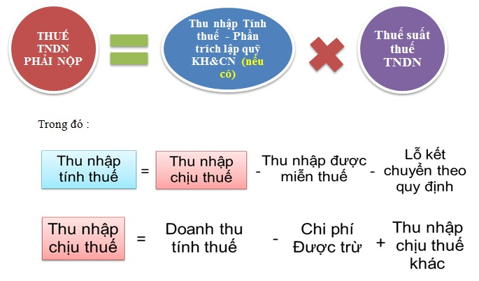 THUẾ PHẢI ĐÓNG HÀNG THÁNG, QUÝ, NĂM